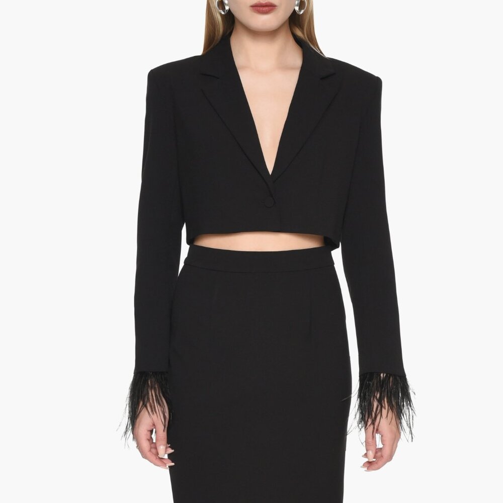 NWOT WAYF Cropped Kismet Blazer with Feather Details on Sleeve | Size XS